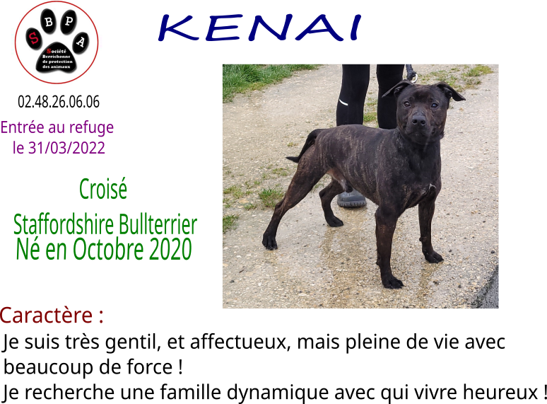 kenai