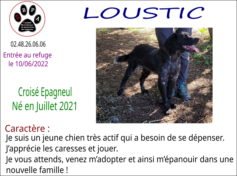 loustic