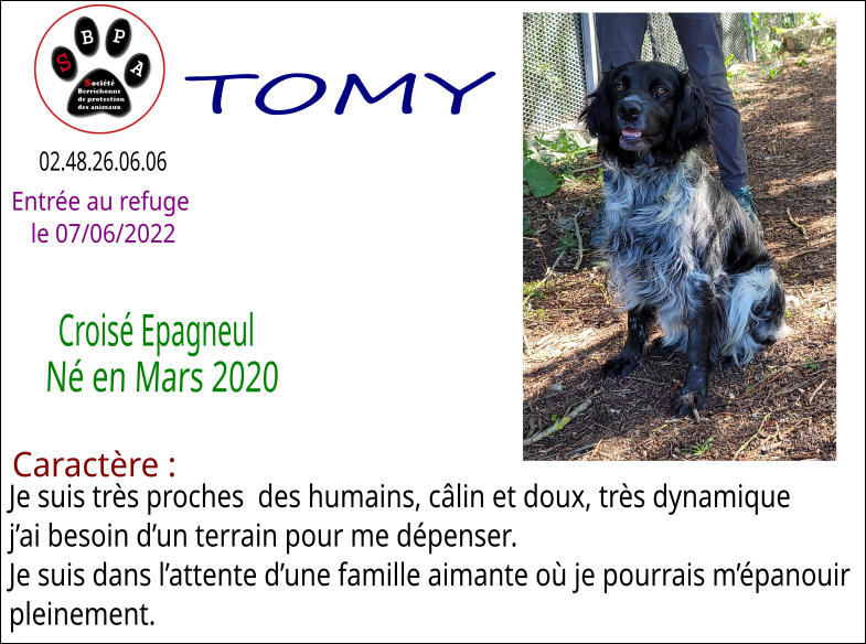 tomy