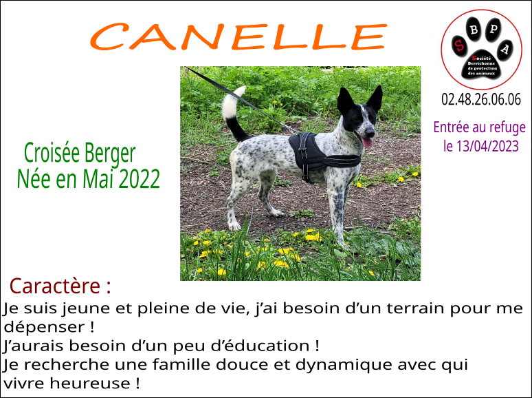 canelle