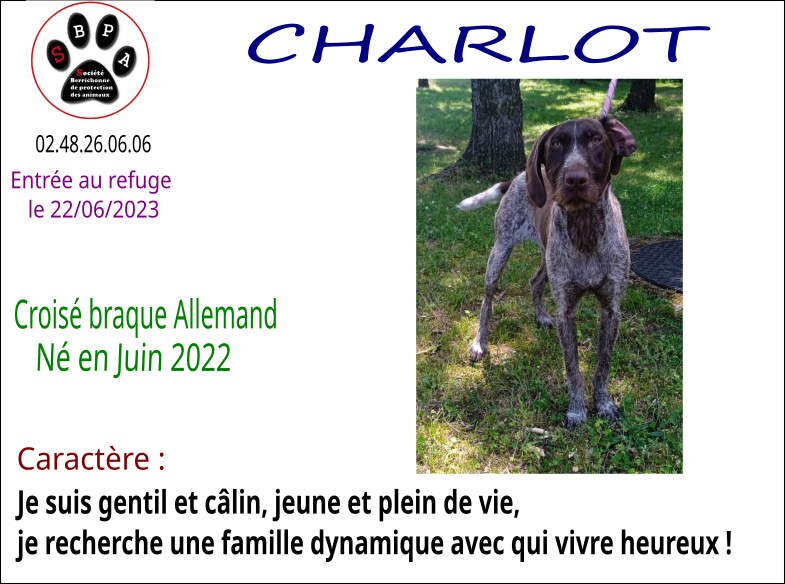 charlot