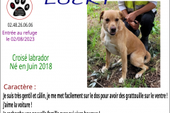 LUCKY
