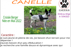 canelle