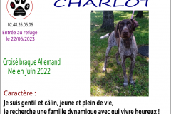 charlot