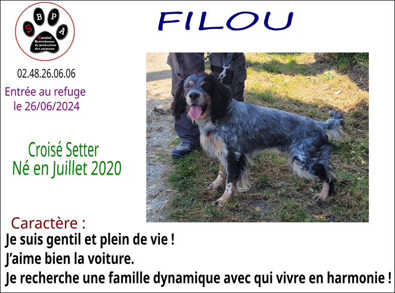filou