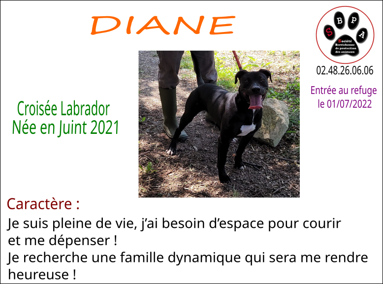 diane