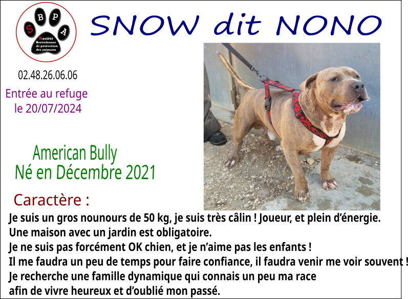snow