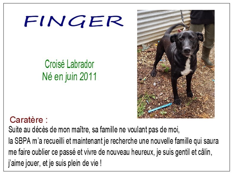 finger