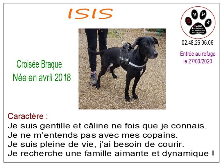 isis