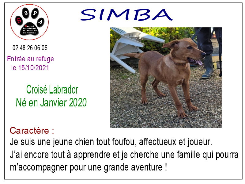 simba