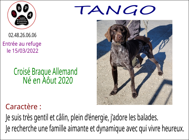 tango
