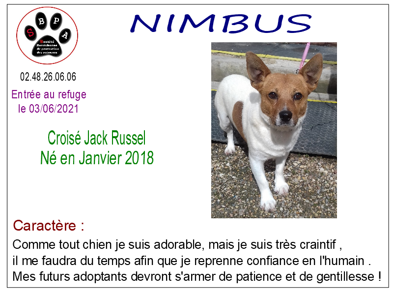 nimbus