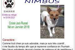 nimbus