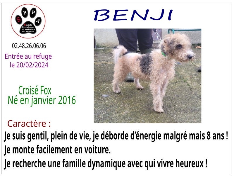 benji