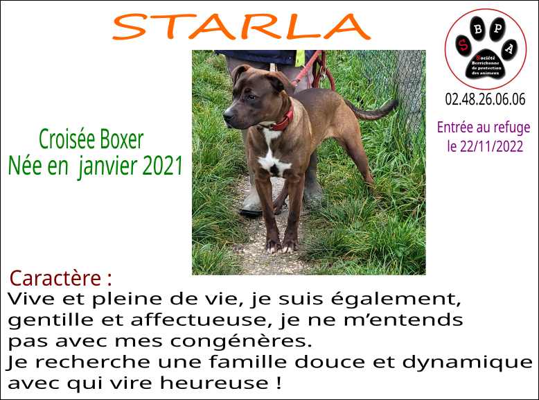 starla