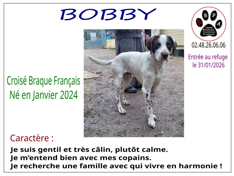 bobby