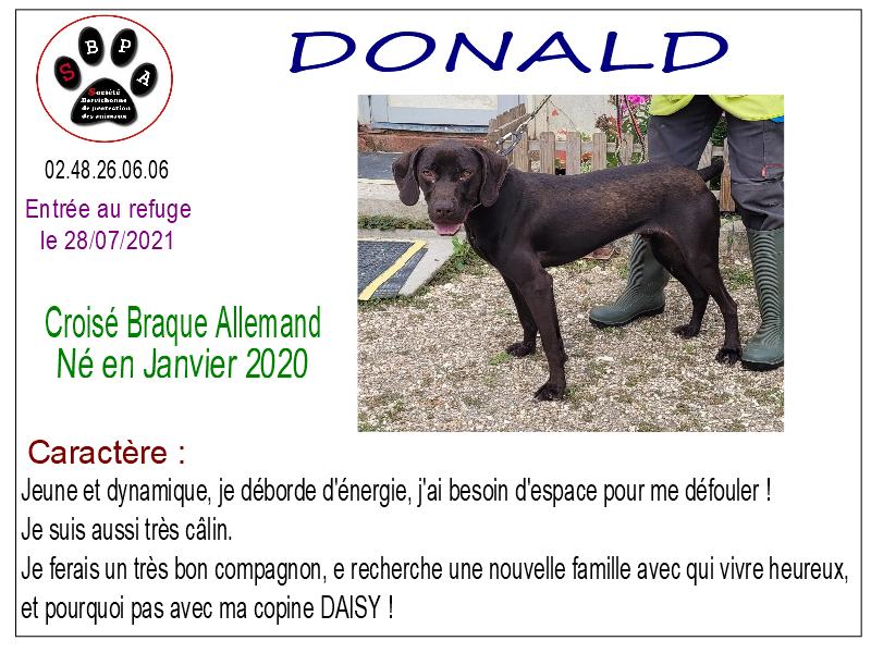 donald