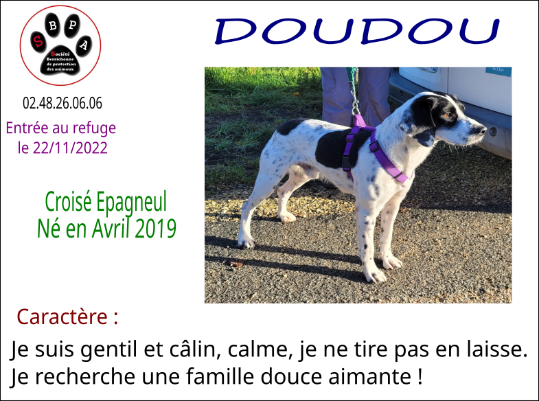 doudou