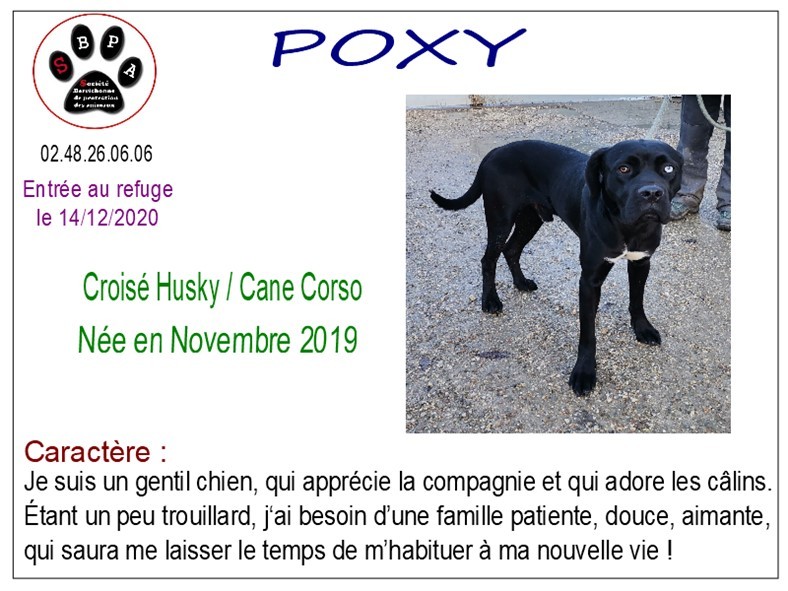 poxy