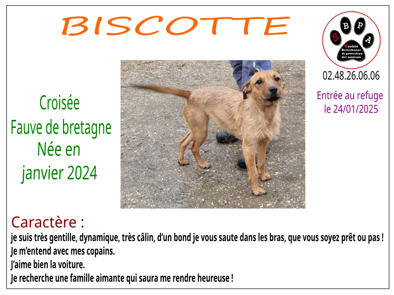BISCOTTE