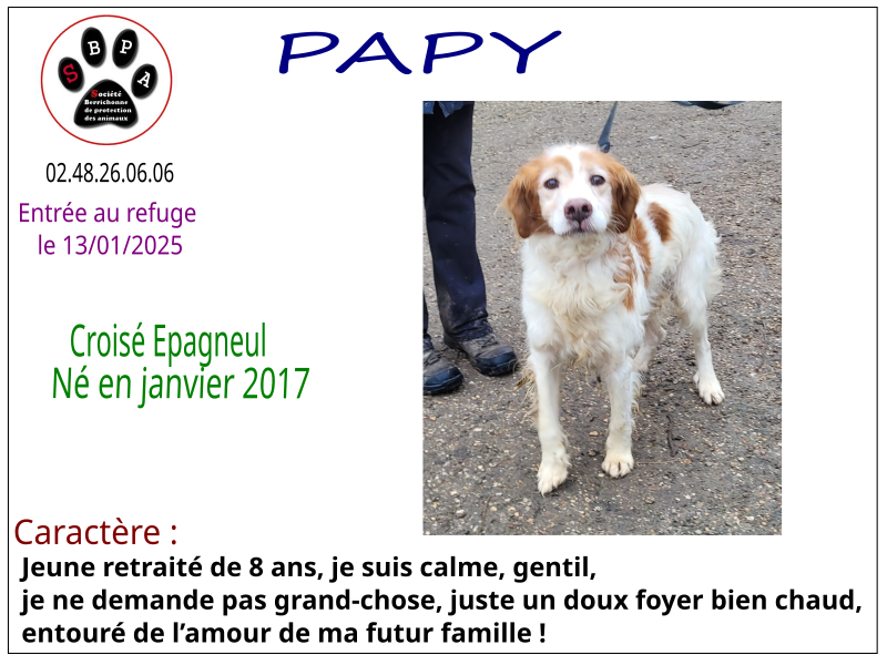 papy