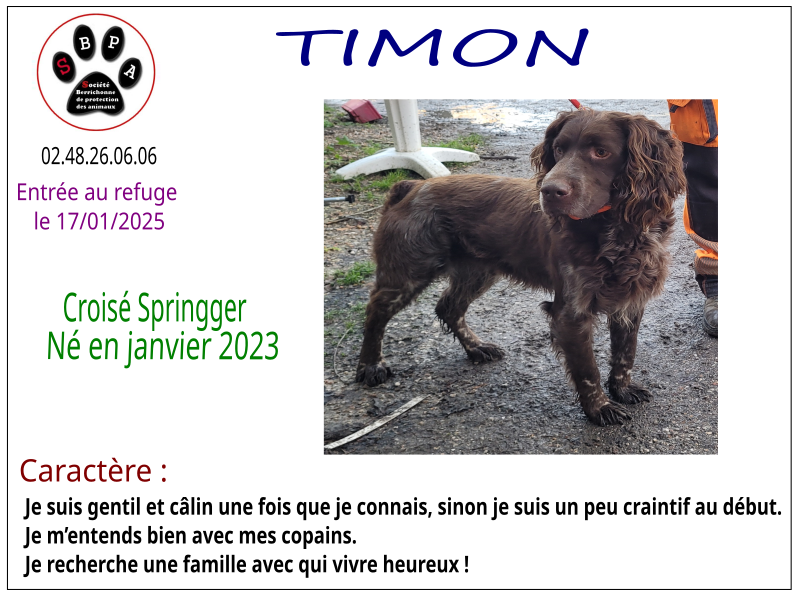 timon