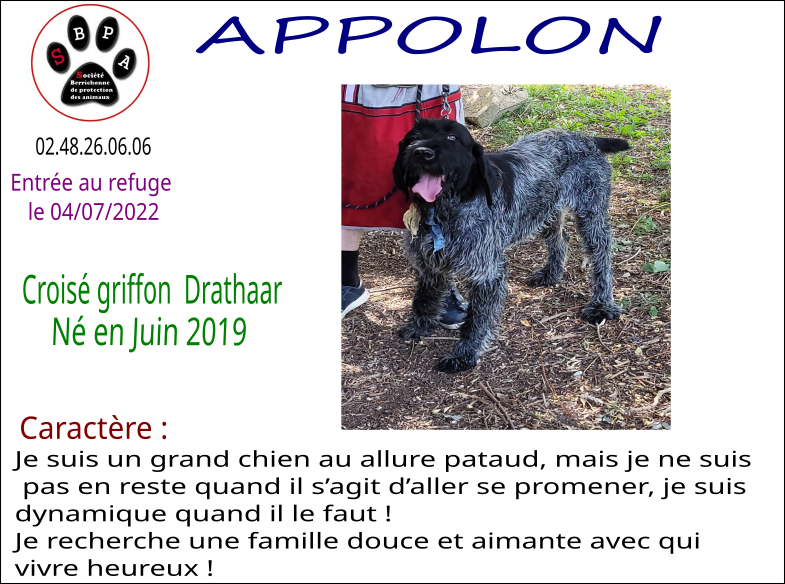 appolon