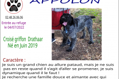 appolon