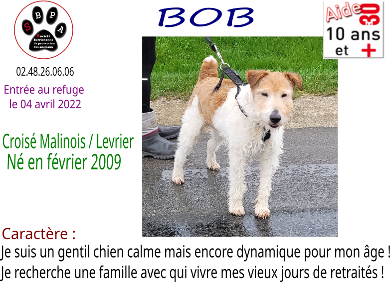 bob