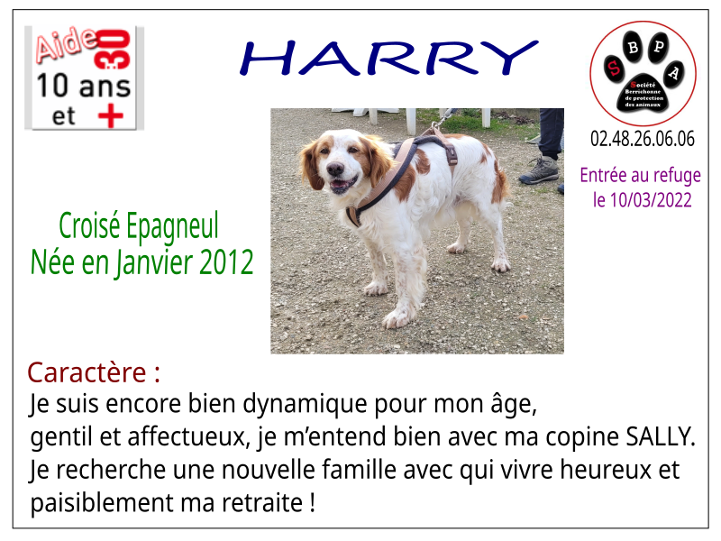 harry