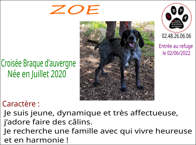 zoe
