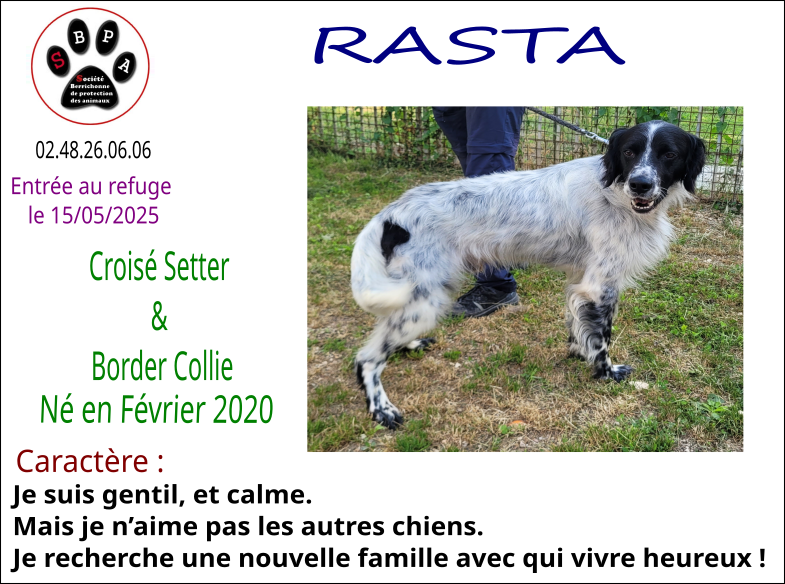 rasta