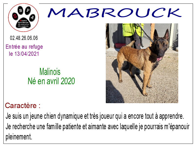 mabrouck