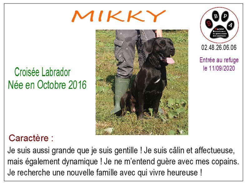 mikky