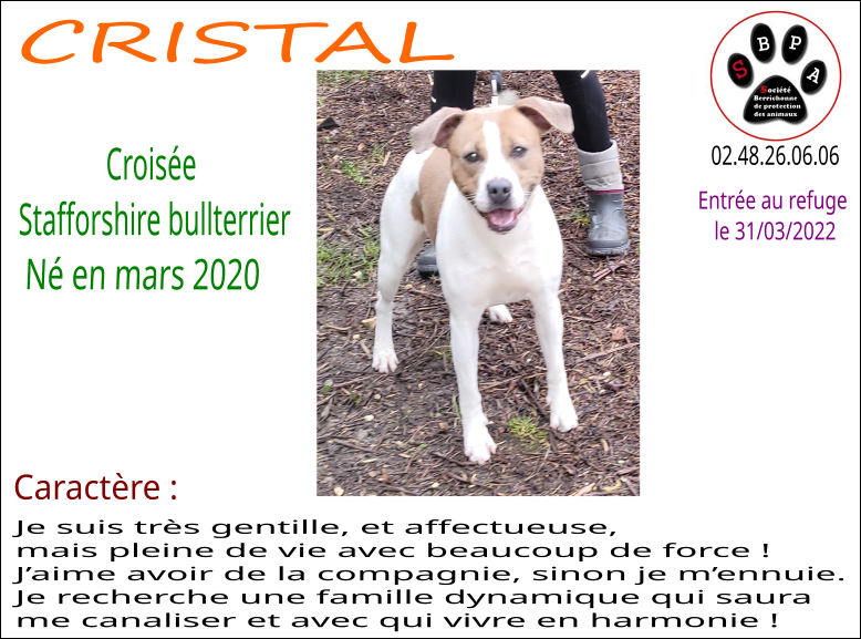 cristal