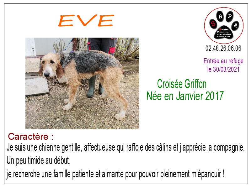 eve