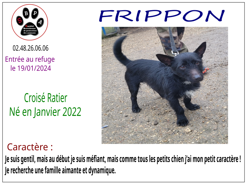frippon