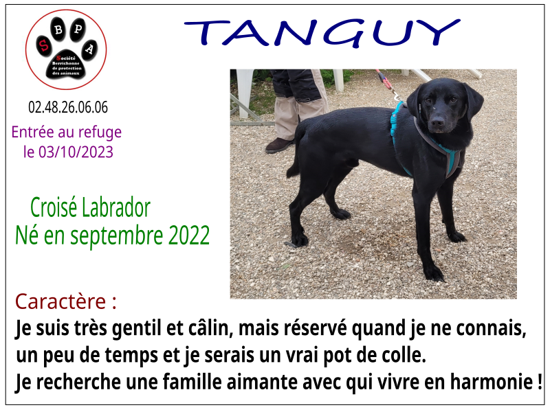 tanguy