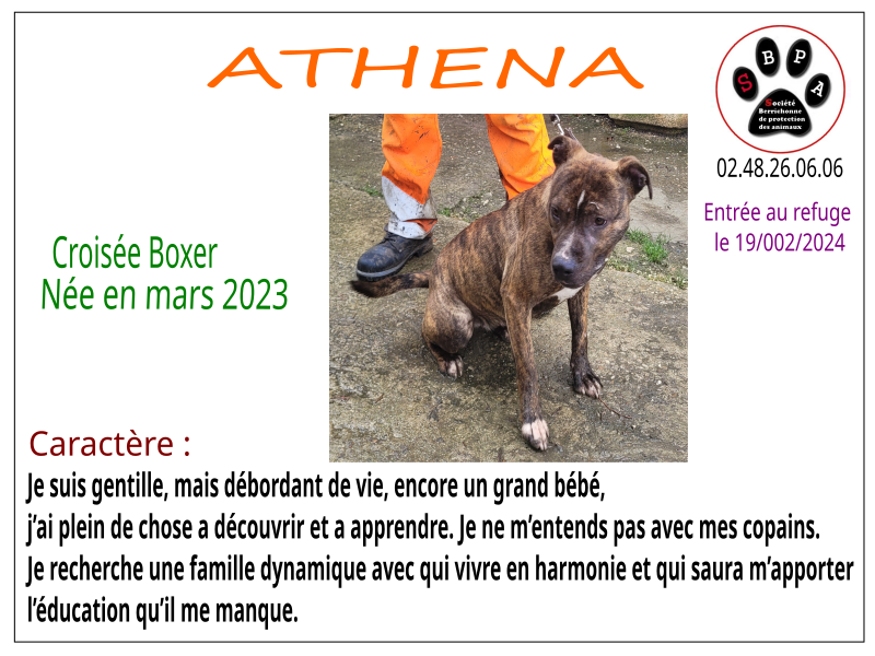 ATHENA