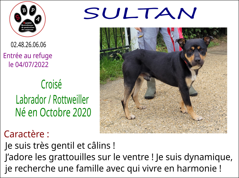 sultan