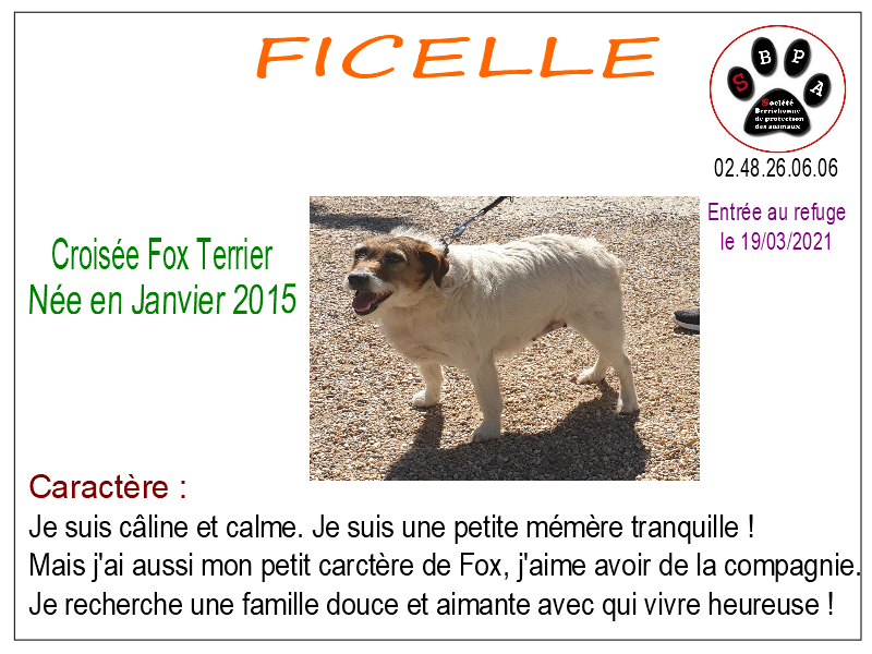 ficelle-2