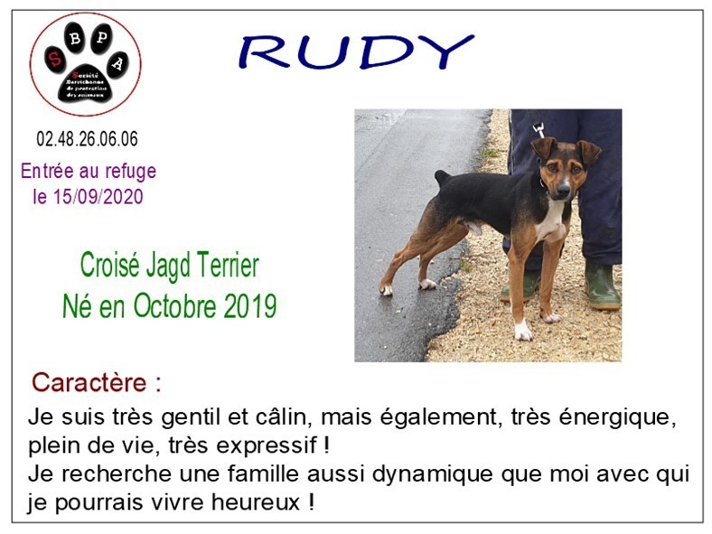 rudy