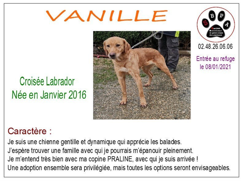 vanille