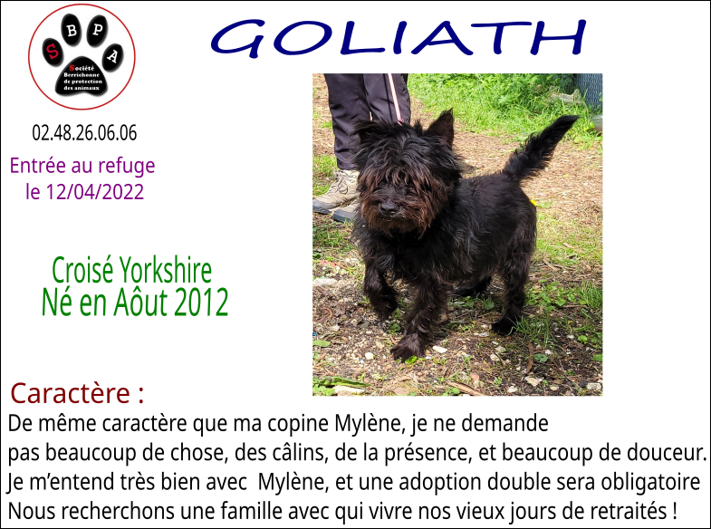 goliath