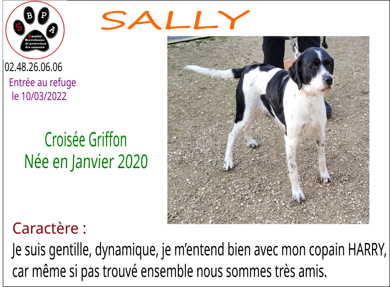 sally