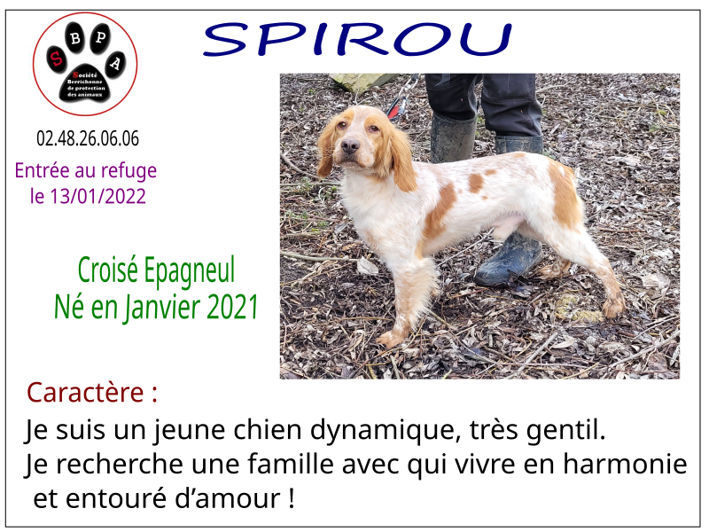 spirou