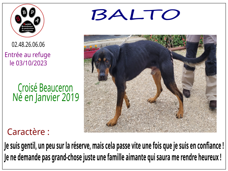 balto