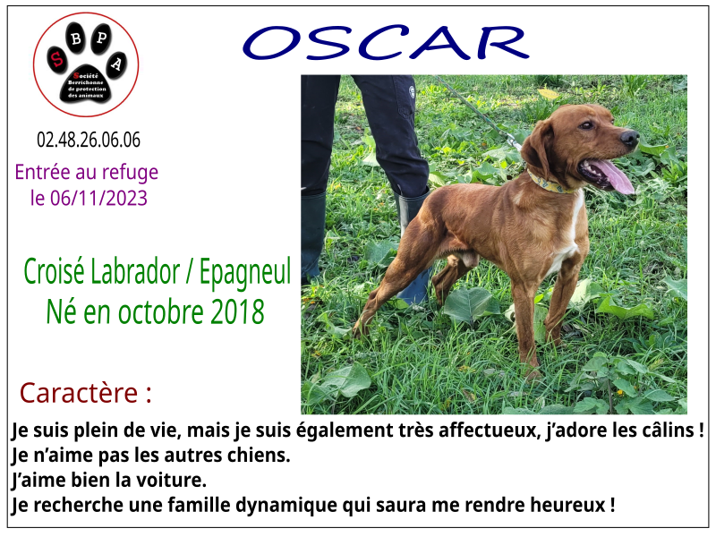oscar