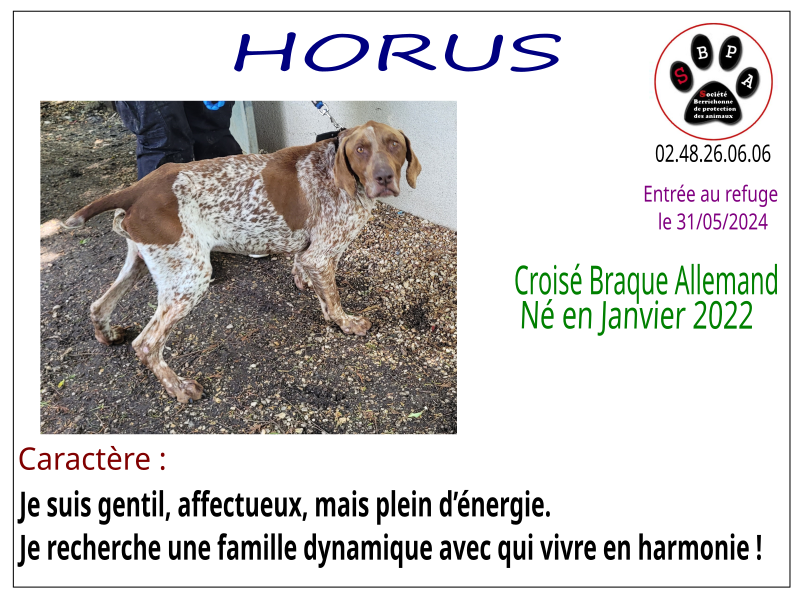 horus