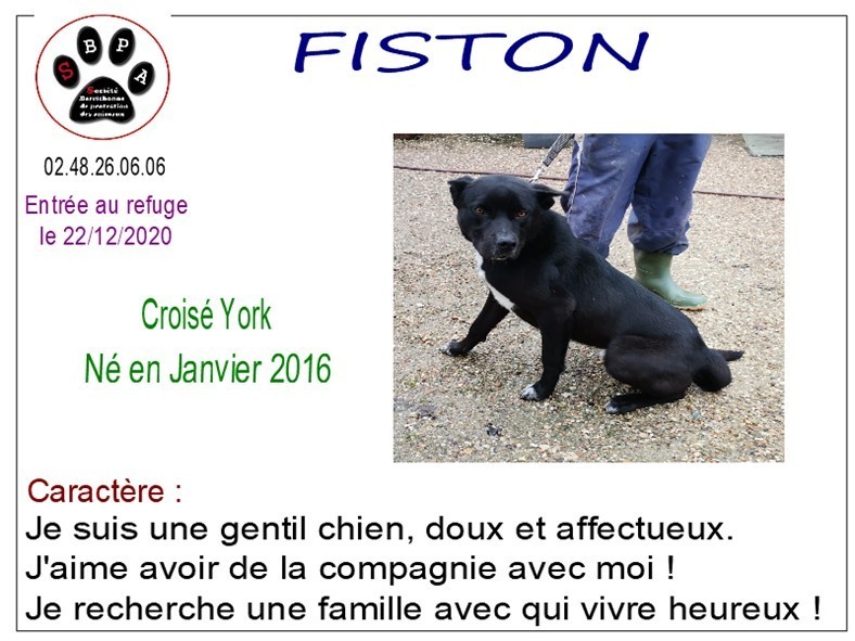 fiston